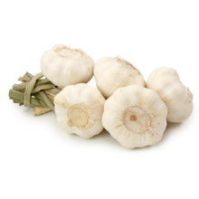 Fresh Pure White Garlic